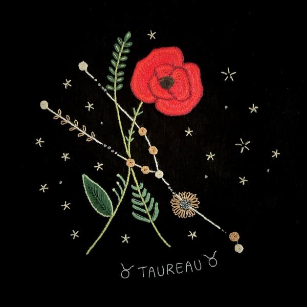 Taurus constellation and its poppy