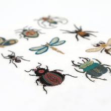 Little bugs - Custo Board