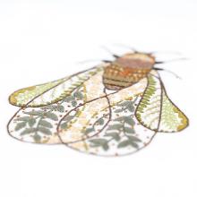 Chantal the cicada - Easy Custo
