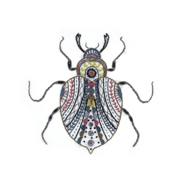 Barnabé le scarabée