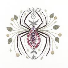 Zoé the Spider - Easy Custo