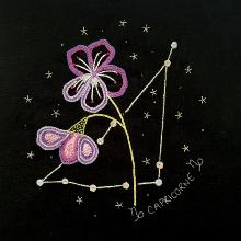 Capricorn Constellation and its Violet