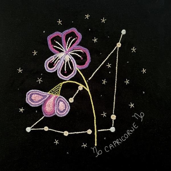 Capricorn Constellation and its Violet