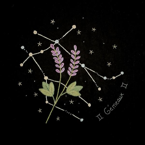 Constellation of Gemini and its lavender
