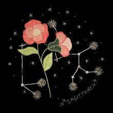 Sagittarius constellation and its carnation