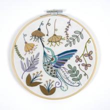 DMC Collaboration - hummingbird