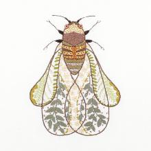 Chantal the cicada - Easy Custo
